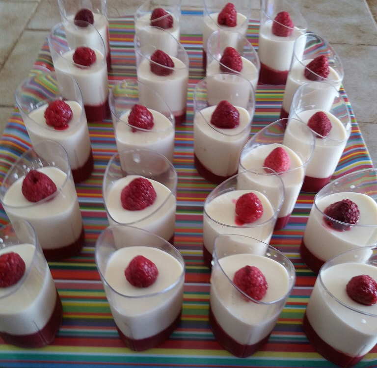 pana cotta framboises.jpg