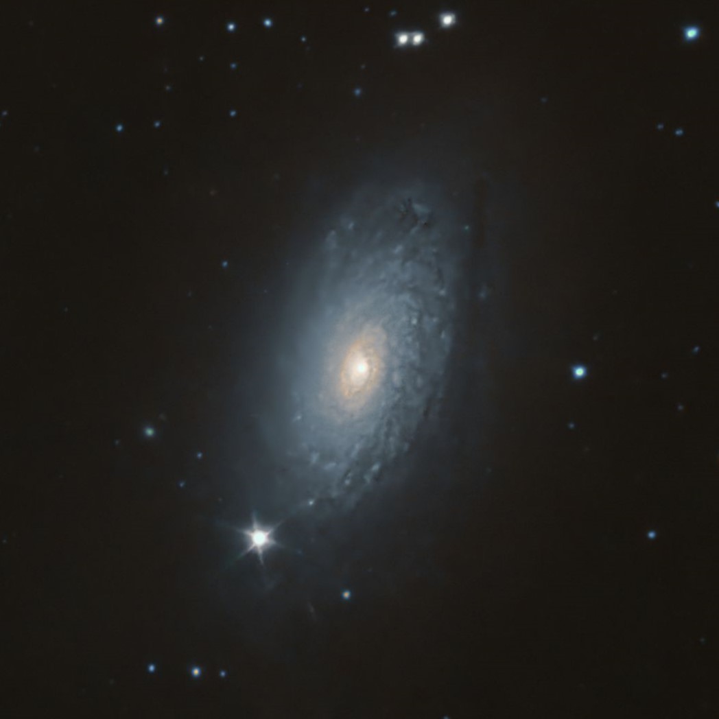 Galaxie du Tournesol M63 - Image redimensionnée
