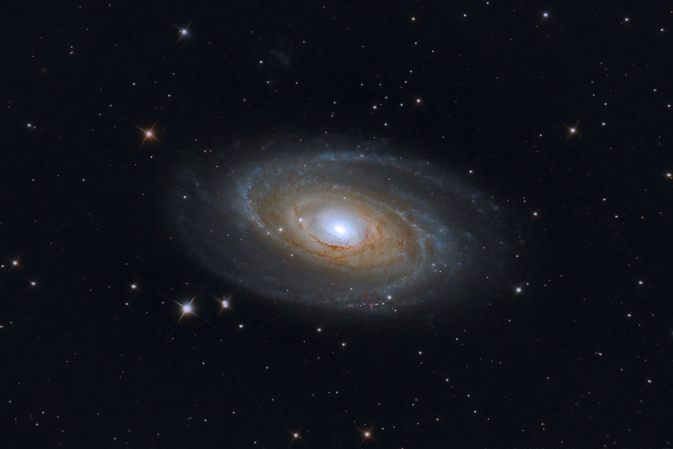On commence par la célèbre M81 dans la constellation de la Grande Ours qui ce soir là, était dans la direction opposée à la Lune.
Télescope RC8 203/1624, caméra ASI2600MC duo, monture ZWO AM5 - 158x120s (5h30 d'intégration)
Traitement : Philippe Bizien