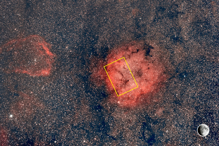 La nébuleuse IC1396, monture ZWO AM5, Samyang 135mm f/1.8 et caméra CP ZWOASI260MC, 10x300mm
