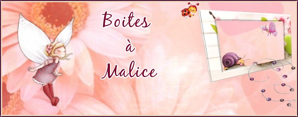 boites-a-malice