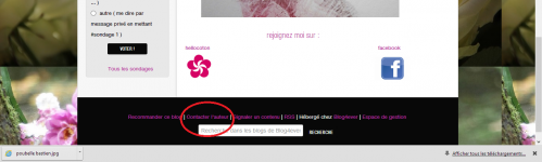 contacter l'auteur.png