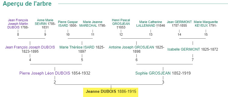 Arbre de Jeanne Dubois (soeur d'Irma et Maria) - épouse de Georges Dieudonné WETZ.jpg