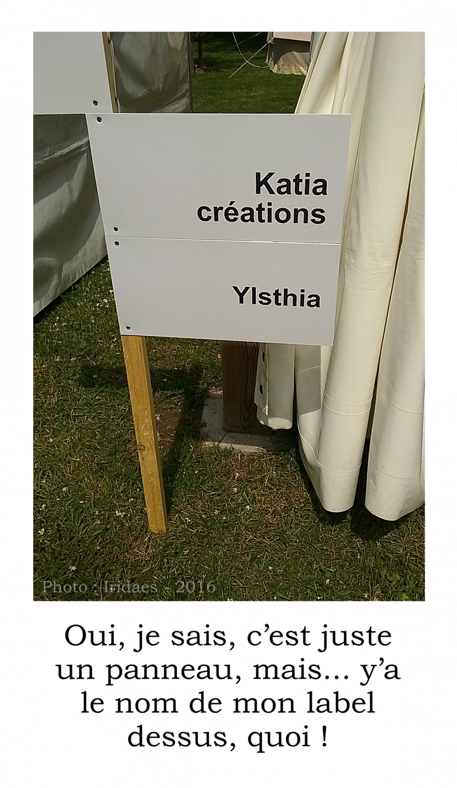 Ylsthia - panneau - Imaginales 2016.jpg