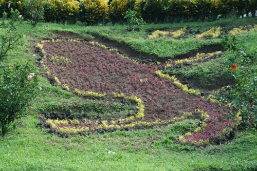 Parterre Martinique LES FONDS SAINT DENIS.jpg