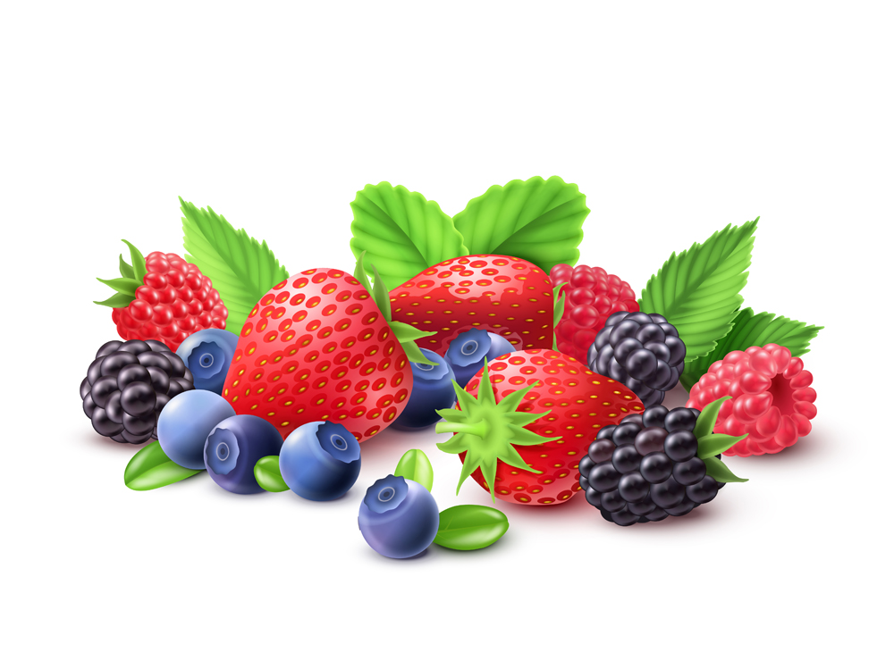 fruits rouges petite taille.jpg