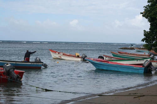 Barques de pêcheurs 4 Anse Tartane MC.jpg