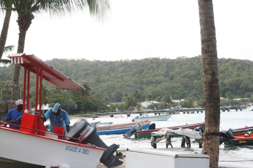 Barques de pêcheurs 3 Anse Tartane MC.jpg