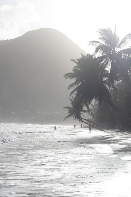 La plage Le Diamant MC.jpg