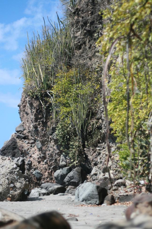 Plage de fond Capot LE CARBET MC.jpg