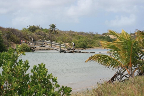 Le pont vers la savane des pétrifications MC.jpg