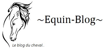 ~Equin-Blog~