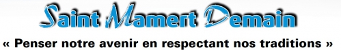 logo stm de.jpg