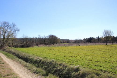 lot2.jpg