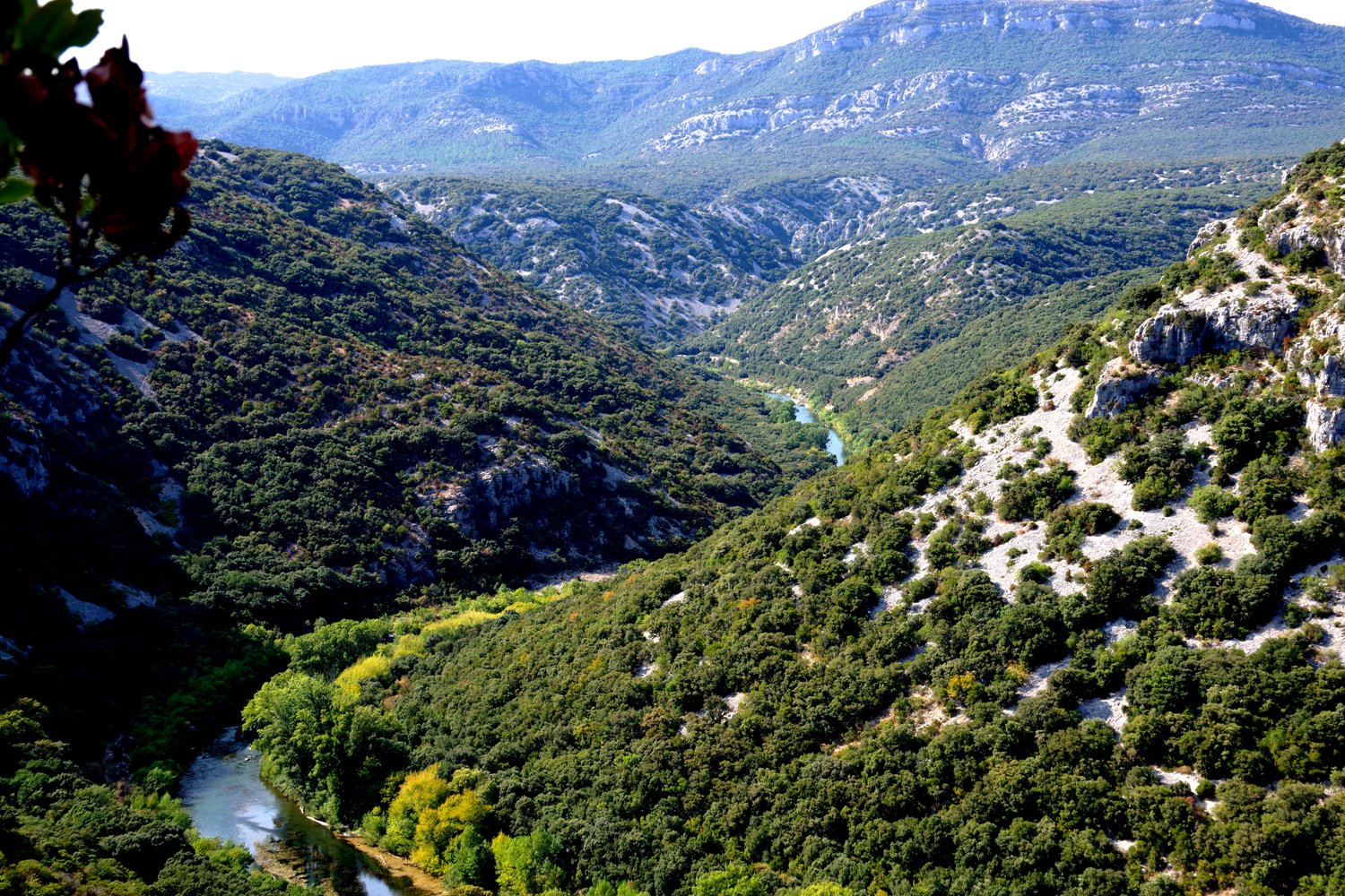 gite rural herault