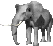 https://static.blog4ever.com/2014/03/766764/animaux-elephants-00004.gif