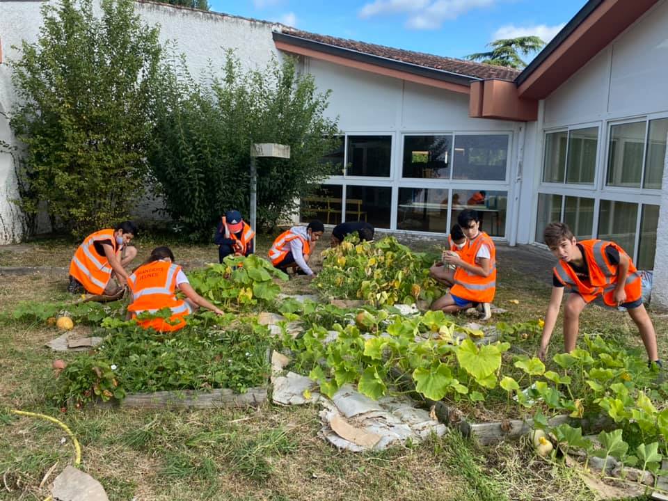 Chantiers Jeunes Eté 2020 (2)