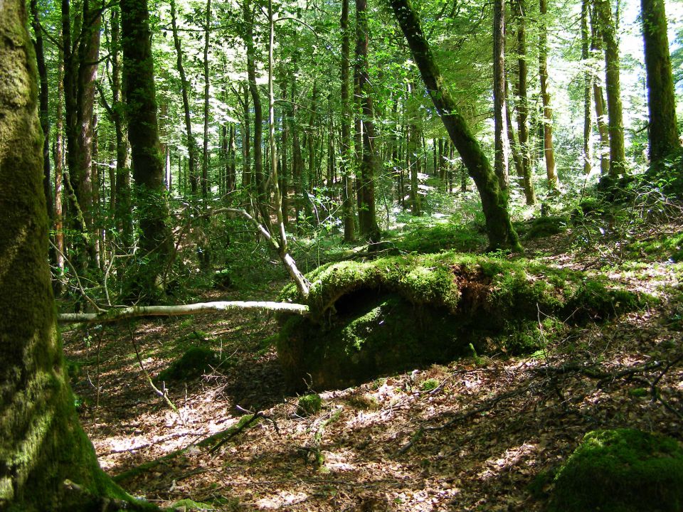 trailolo un  nouveau sur les sentiers