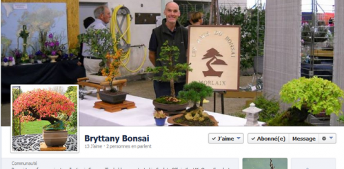 facebook brytannybonsai.PNG