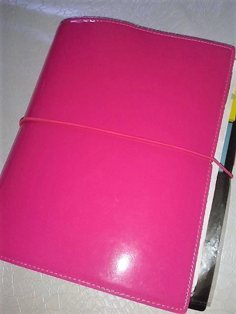 Mon nouveau jouet : mon Filofax ...