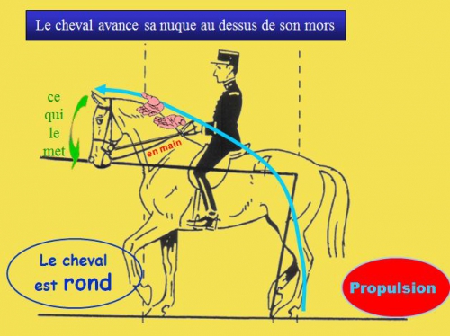 5)Orientation du cheval.png.jpg