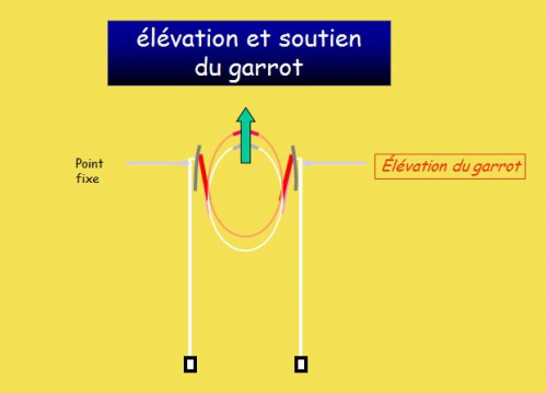 7)Orientation du cheval.png.jpg