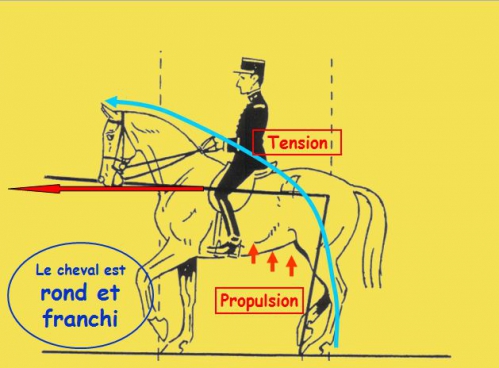 8)Orientation du cheval.png.jpg