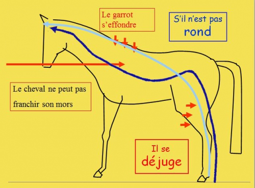 9)Orientation du cheval.png.jpg