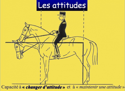 10)Orientation du cheval Attitudes.jpg