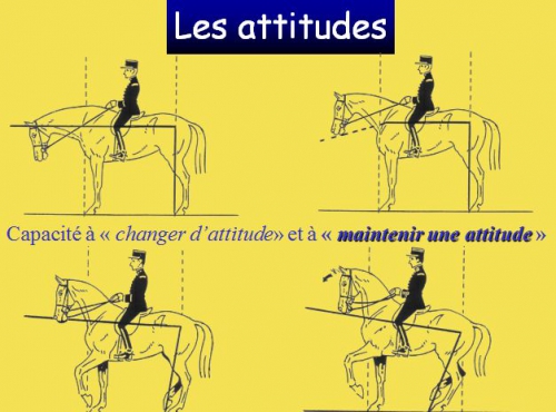 11)Orientation du cheval.png.jpg