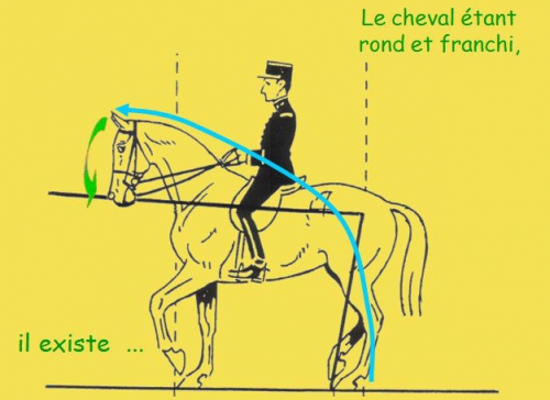 12)Orientation du cheval.png.jpg