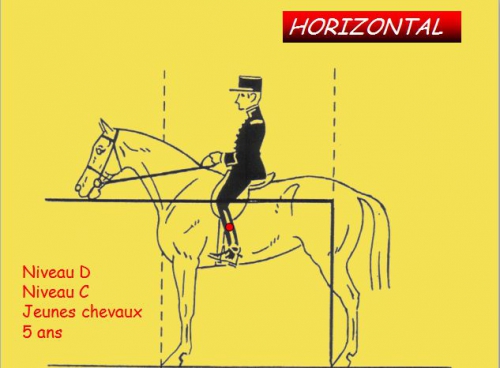 13)Orientation du cheval.png.jpg