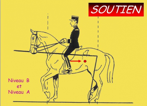 15)Orientation du cheval.png.jpg