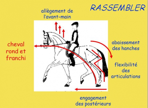 17)Orientation du cheval.png.jpg