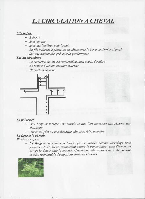 Préparation du cavalier scan.jpg