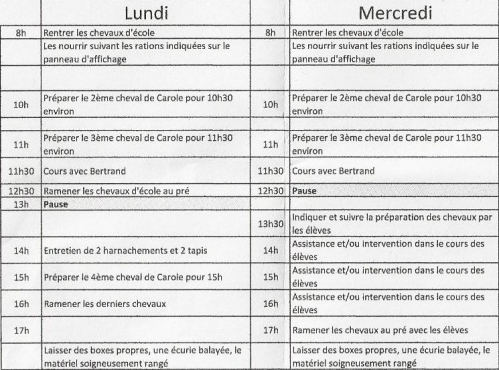 Mon planing lundi et mercredi.jpg