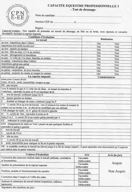CEP3 dressage.jpg