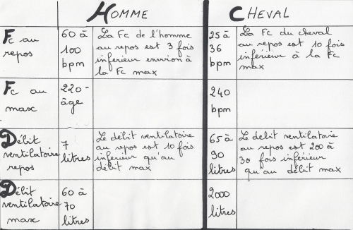 Tableau comparatif homme cheva scanl.jpg