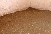 litiere granules J30.jpg