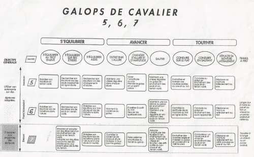 Bulle des galops 5 à 7.jpg