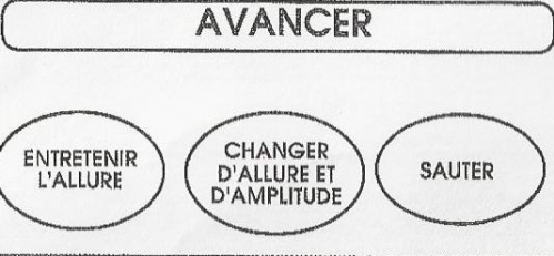 Bulle des galops 1 à 4 (4).jpg