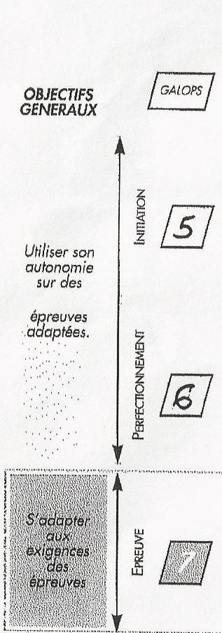 Bulle des galops 5 à 7 (1).jpg