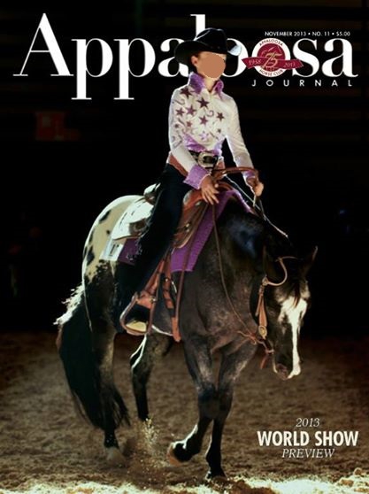 Appaloosa 2 refait.jpg