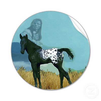 Appaloosa Cheval des nez percés 2.jpg