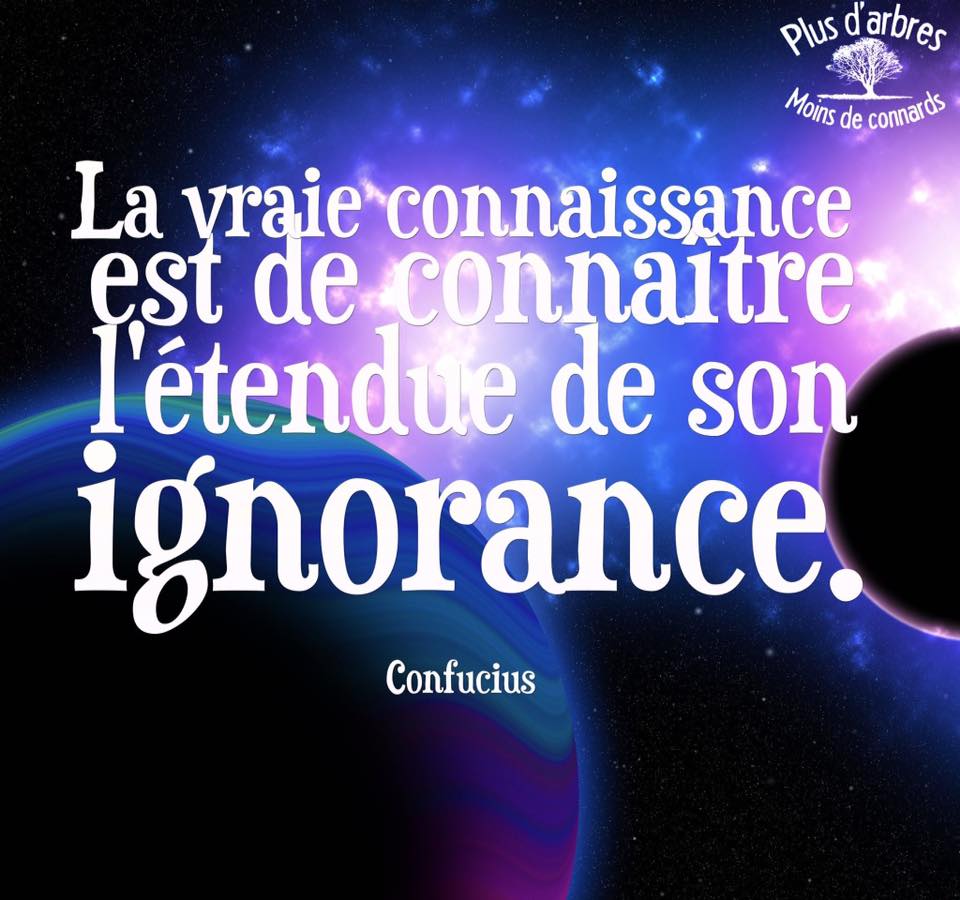 ignorance 17.jpg