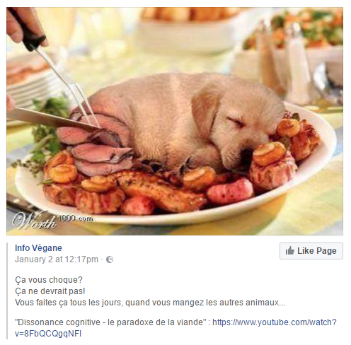 animaux viande.png