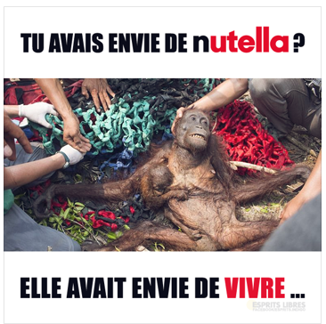 animaux nutella.png