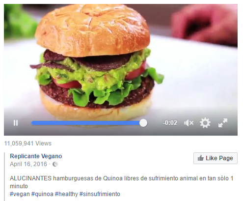 vegan hamburger.png