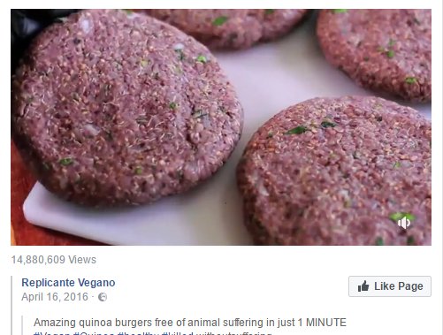 vegan burger.png
