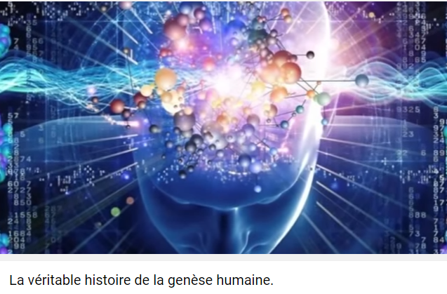 histoire humaine.png